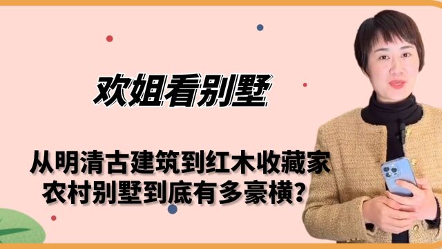 欢姐看别墅:从明清古建筑到红木收藏家,农村别墅到底有多豪横?