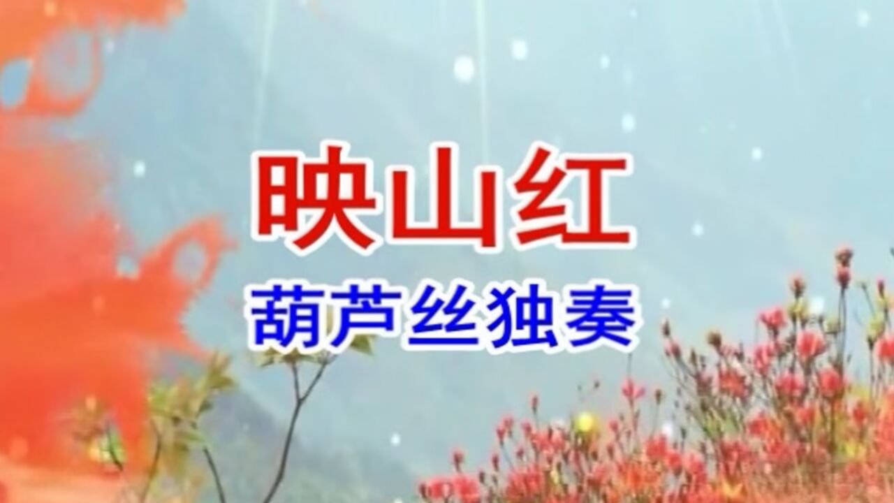 映山紅(葫蘆絲獨奏)