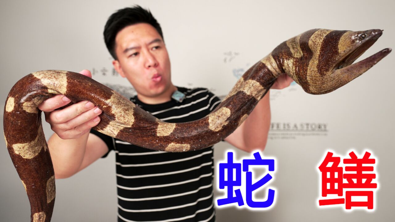 2000买一条可遇不可求的蛇鳝,出锅后越吃越生气,翻大车了_高清1080P在线观看平台_腾讯视频