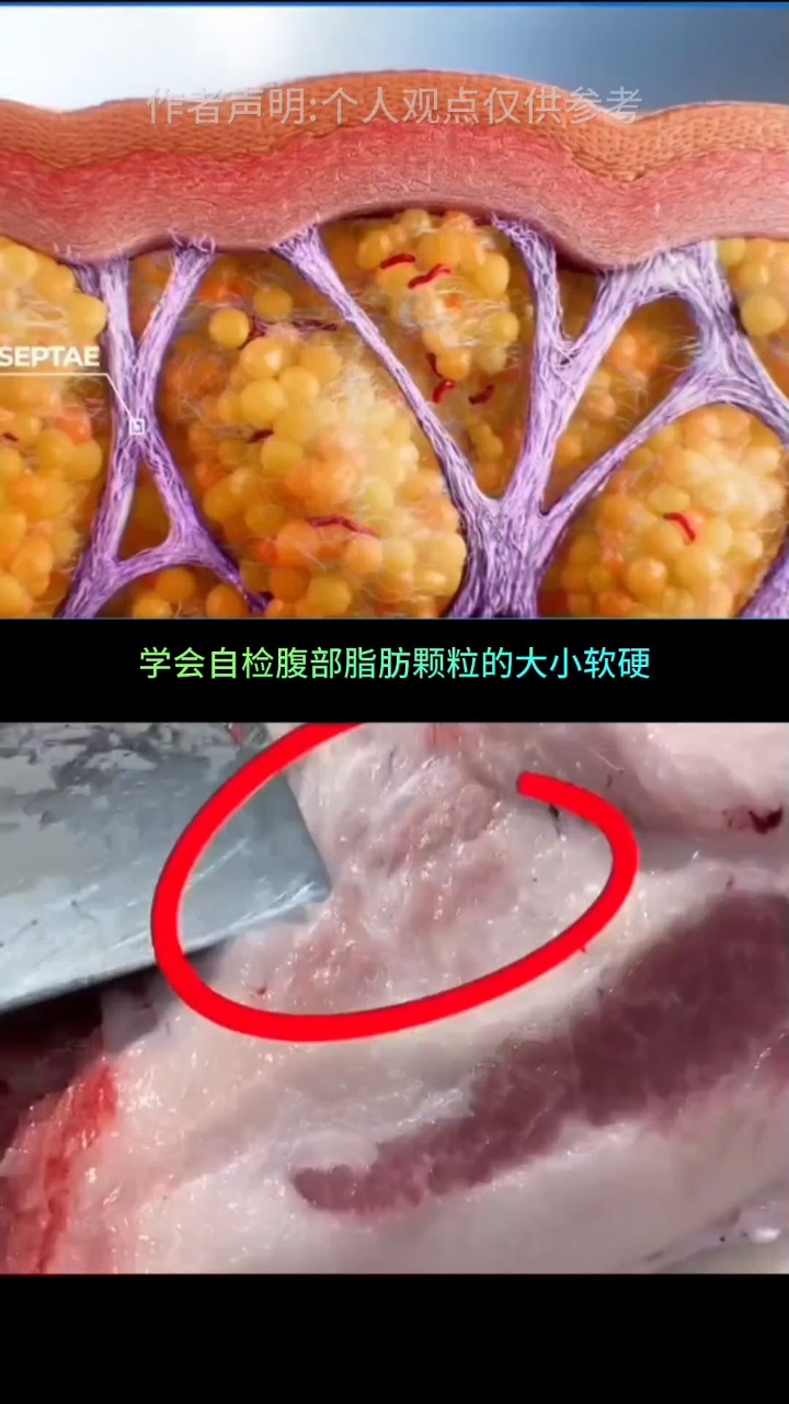学会了自检脂肪颗粒的大小与软硬,那种燃脂方法更适合你自然显而易见
