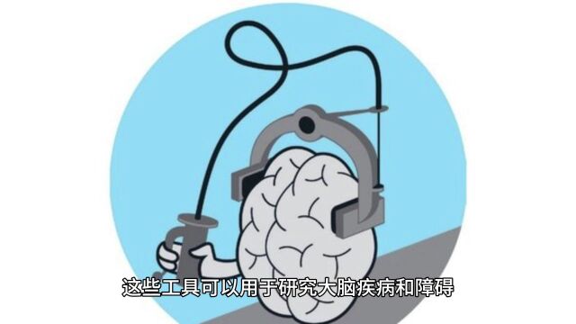 神经科学与人工智能的交叉研究:突破技术的边界