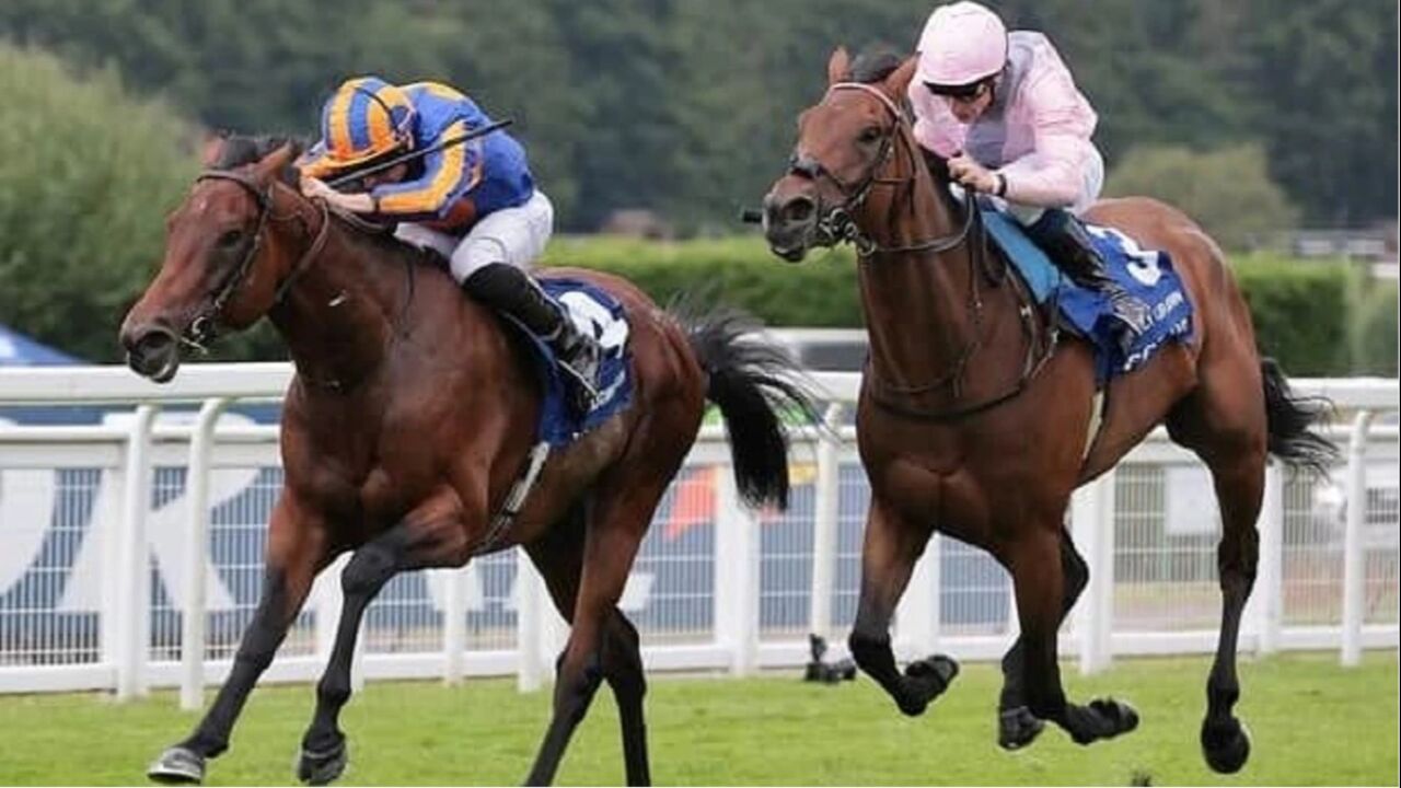 2023 日蚀锦标赛 paddington