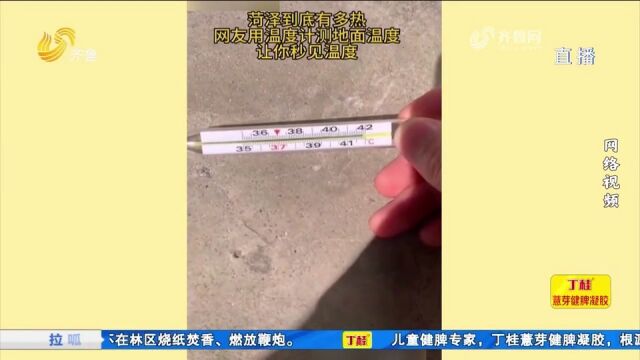 上蒸下煮,40天“加长版”三伏天开启!收好这份养生小贴士