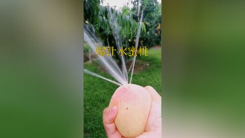 永城“爆汁”水蜜桃