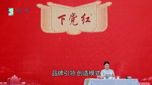 【说茶】2023寿宁县乡村振兴新产品展示暨“下党红”产品发布会举办
