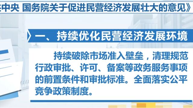 《中共中央 国务院关于促进民营经济发展壮大的意见》发布,进一步激发民营经济发展活力