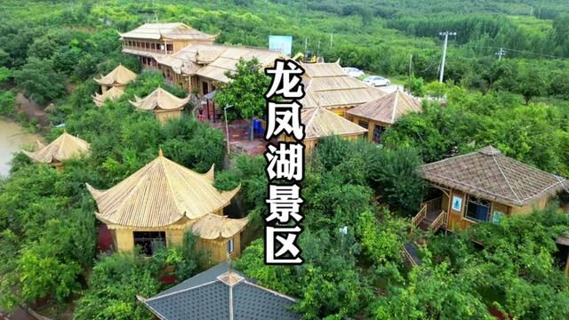 龙凤湖的水都被下黄了……#乡村旅游景点 #龙凤湖景区 #方城