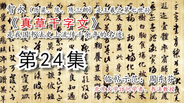 隋 智永《真草千字文》全文书法【周东芬临帖视频】第24集