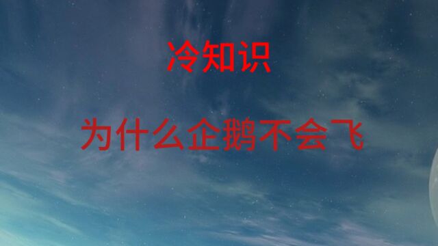 冷知识:为什么企鹅不会飞