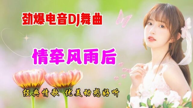 劲爆电音DJ《情牵风雨后》超长版,经典网络情歌,优美动感好听