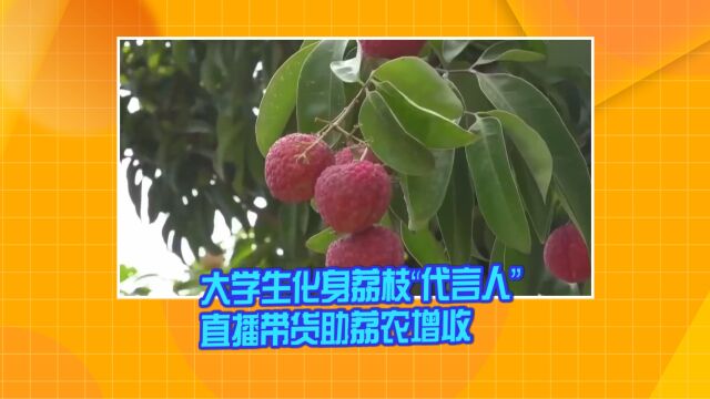 大学生化身荔枝“代言人” 直播带货助荔农增收