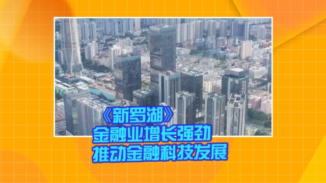 《新罗湖》金融业增长强劲 推动金融科技发展