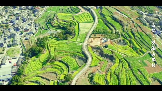 走,玉环山里看油菜花去!