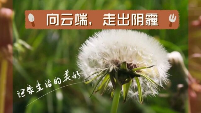 向云端,走出阴霾,勇攀高峰!