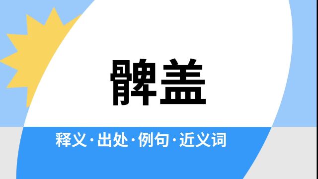 “髀盖”是什么意思?