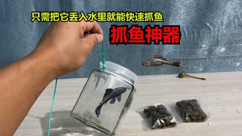 居然还有抓鱼神器,只需把它丢入水中鱼就会快速游进去,这也太离谱了_高清1080P在线观看平台_腾讯视频