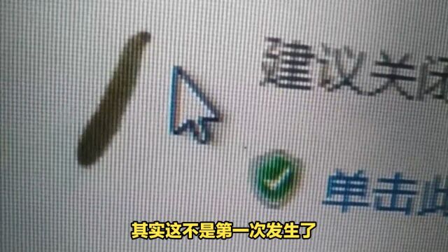 青岛男子电脑屏幕现虫子!如何避免?