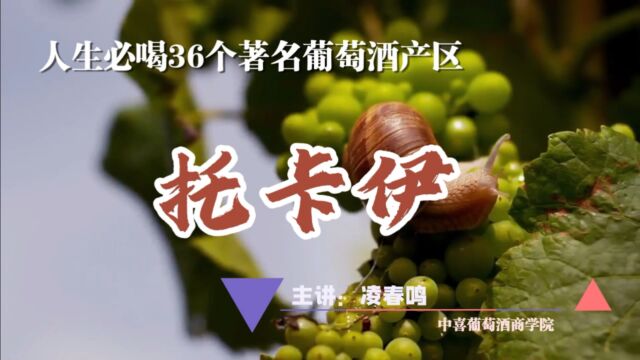 一生必喝的36个葡萄酒产区,托卡伊