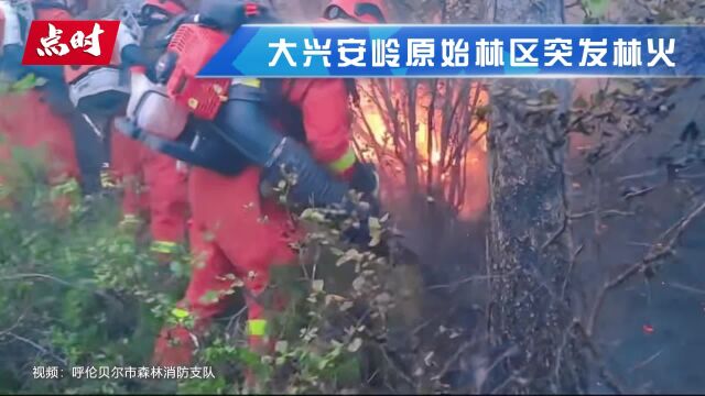 大兴安岭林区发生森林火灾,350名森林消防紧急驰援