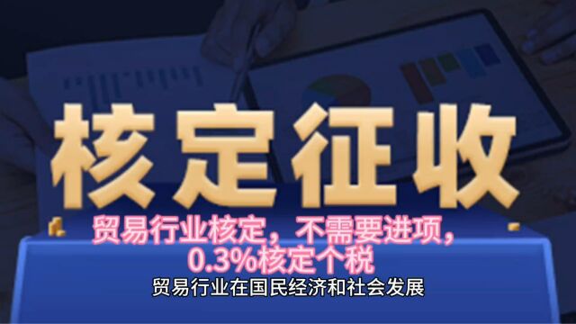 贸易行业核定,不需要进项,0.3%核定个税