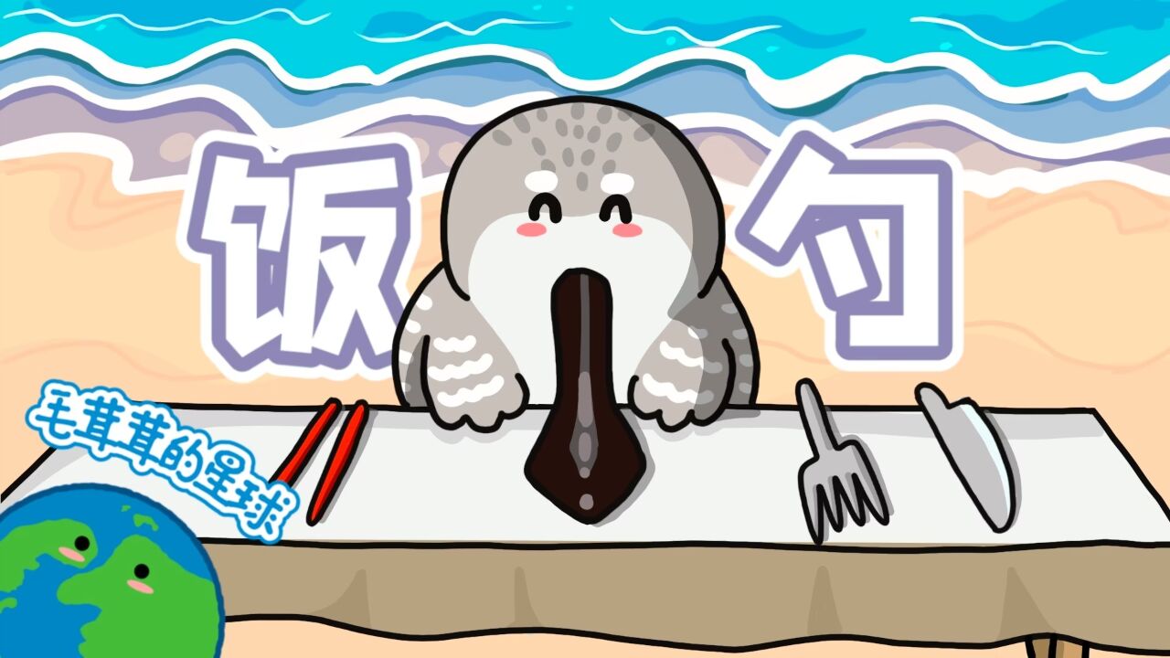 【勺嘴鹬】自带饭勺的小鸟,仅剩几百只!