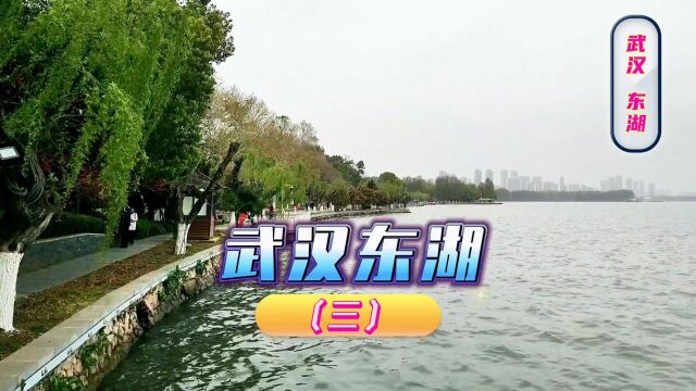 历史上屈原、李白等不少名人曾在东湖留下足迹.武汉东湖(三)