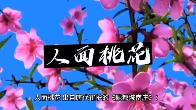 历史成语故事《人面桃花》