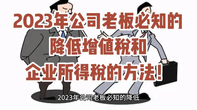 2023年公司老板必知的降低增值税和企业所得税的方法!