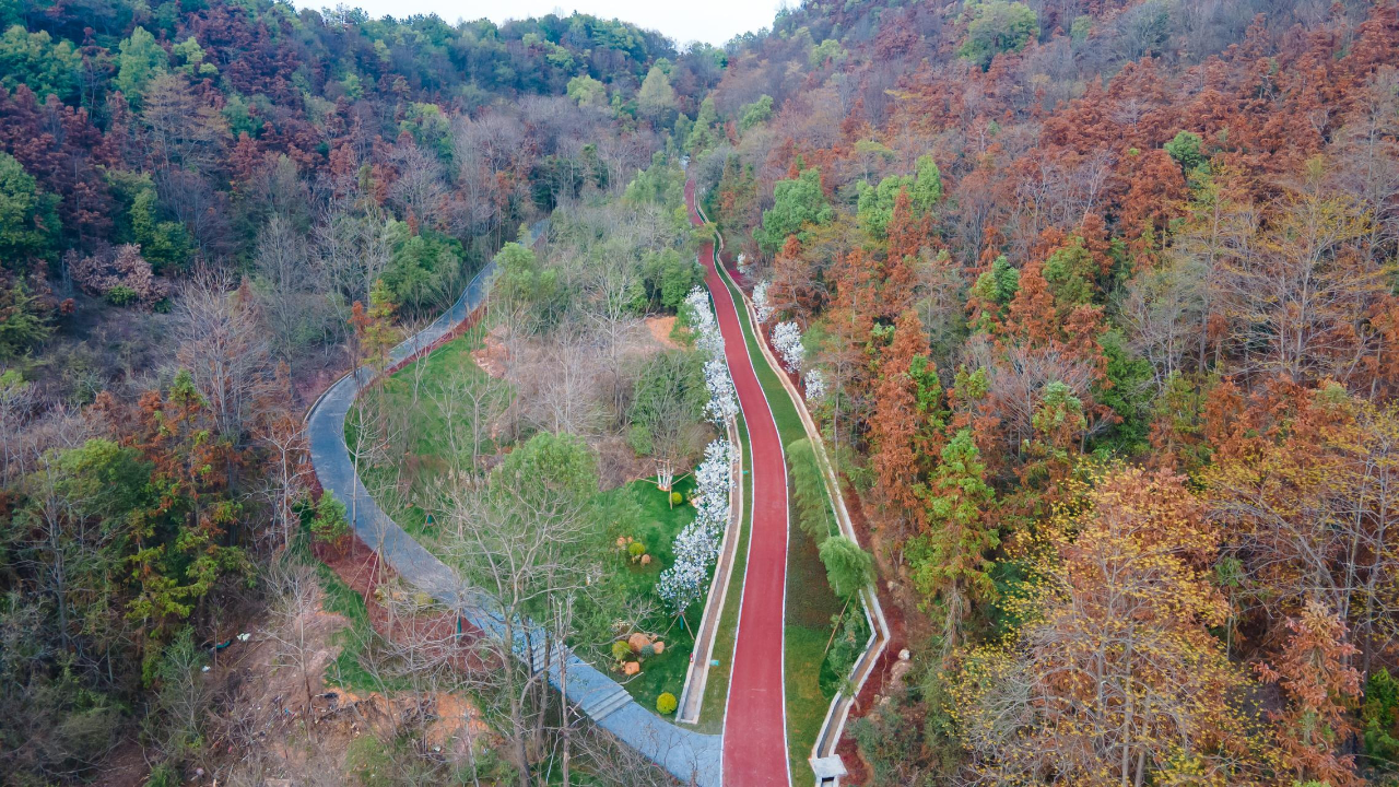 长株潭绿心中央公园绿道成网,将串联起沿线旅游资源