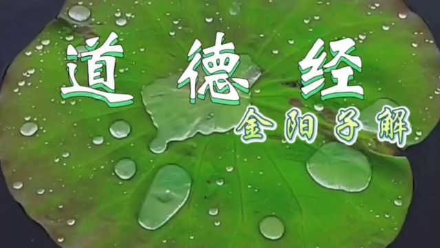 金阳子解道德经十 道德经 全集解读 道家文化 传统文化 国学 修行 丹道 修行修心 筑基 天之道 知行合一 传承工程 文明 易经 论语 心经 儒释道 高维 悟道