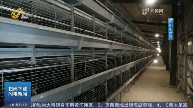 资源共享品牌共育,济宁万州共谋特色产业振兴之路,增强内生动力