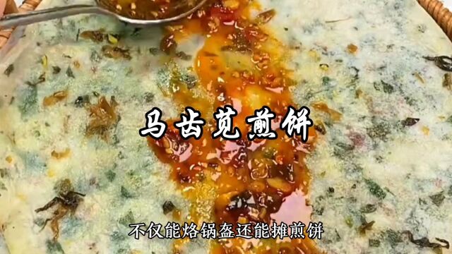 马齿苋煎饼家常做法,营养味美,卷菜卷肉都好吃