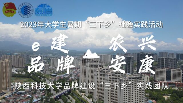 2023年大学生暑期“三下乡”社会实践活动