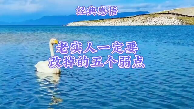 经典感悟老实人一定要改掉的五个弱点