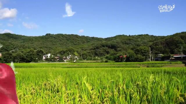 北京信息科技大学:青年学子调研 参与京藏交流