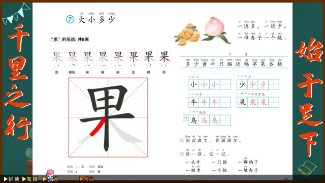 “果”字学习,小学一年级语文课本《大小多少》生字学习