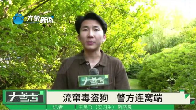 河南信阳:村民家里狗被盗,警方彻夜蹲守将嫌疑人“连窝”端掉