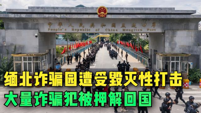 缅北诈骗毁灭性打击,大量罪犯被押解回国!缅北为何不断滋生犯罪