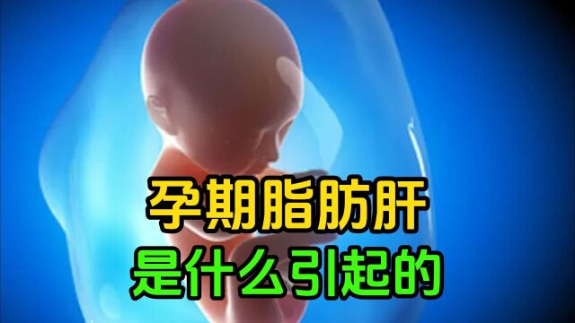 备孕前夫妻双方都需要准备什么