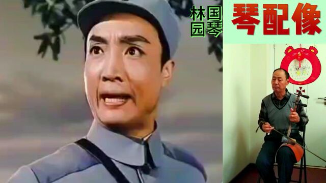 林园国琴琴配像《平原作战》赵勇刚唱段:团结战斗 火烧粮库