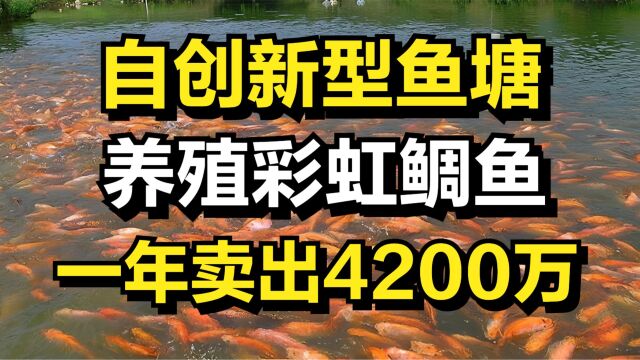 河南小伙自建新型鱼塘养鱼,一斤鱼能卖15元,年销售额达4200万元