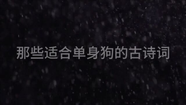 那些适合单身狗的古诗词#古诗词#每天一首古诗词#和抖音一起学古诗