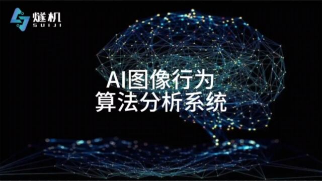 AI图像行为算法分析系统