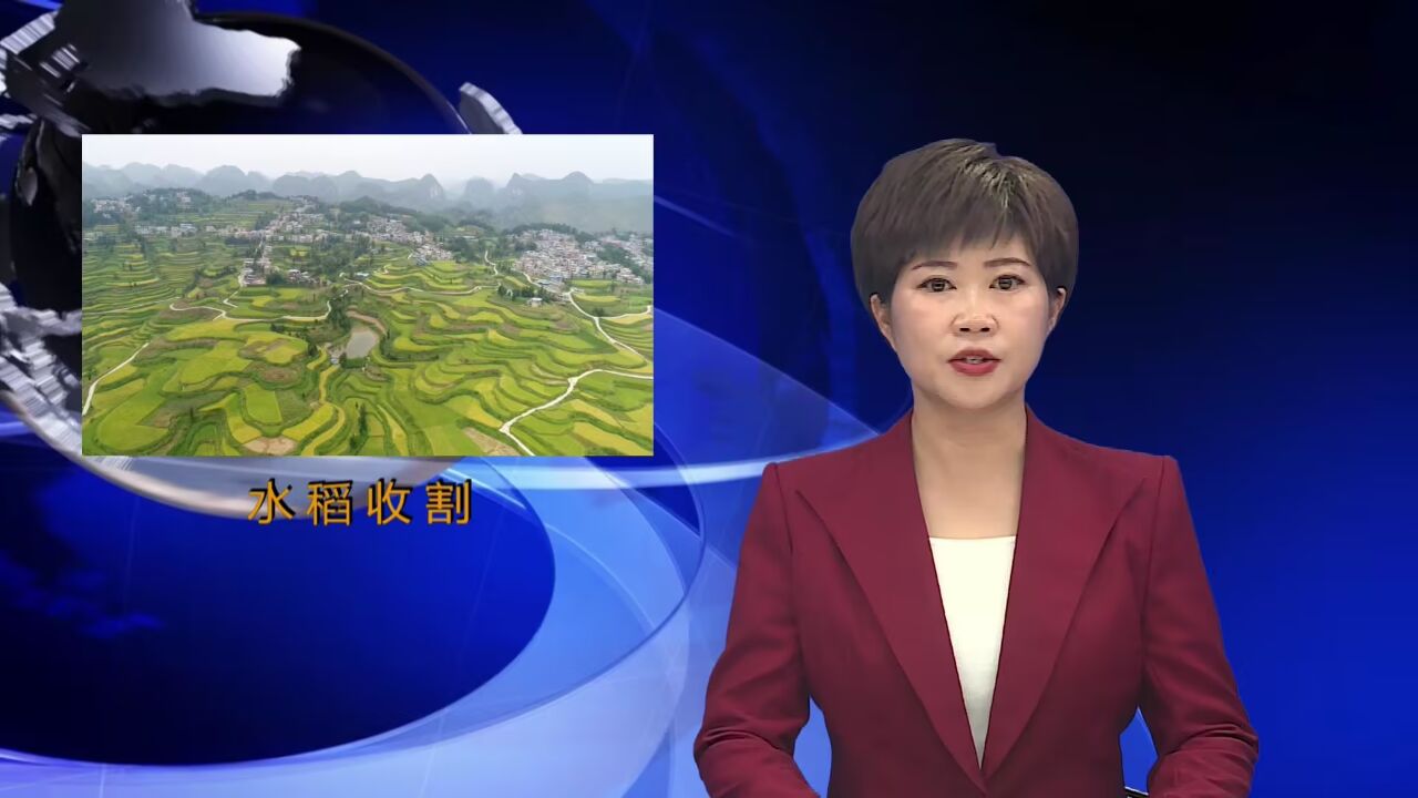 贵州罗甸新闻20230824