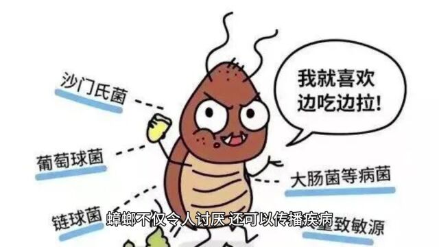 夏天到了,想问问蟑螂药里面有效成分有哪些?怎样发挥作用?