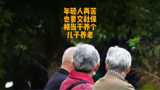 年轻人再苦也要交社保,相当于养个儿子养老