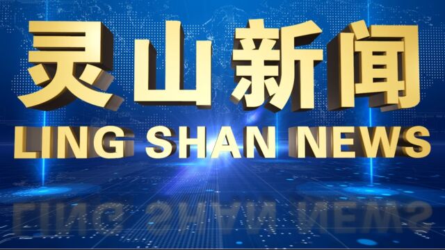 2023年8月28日灵山电视新闻