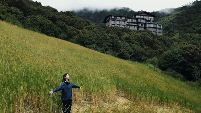 香格里拉像是远离尘世的仙境 变幻莫测的天空 大片的青稞田 神的后花园南极洛 藏区八大神山之一梅里雪山 雨雾中的白马雪山…