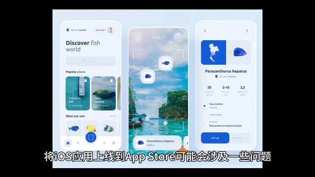 iOS APP外包开发上线流程