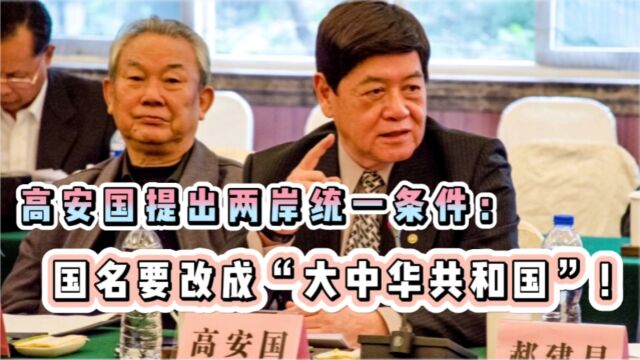 高安国提出两岸统一条件:国名要改成“大中华共和国”!